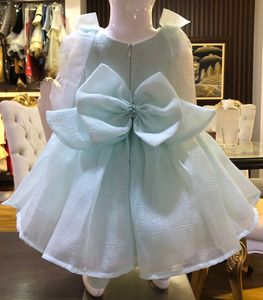 Robe spéciale décontractée en organza en satin avec motif floral décent pour les fêtes de printemps des bébés filles disponibles dans les tailles pour enfants - Product Image 2