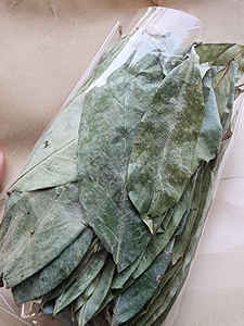 Poudre de Corossol Graviola organique séchée de qualité supérieure laisse l'ingrédient de tisane tropicale du Vietnam - Product Image 5