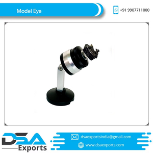 High Quality PVC Anatomical Eye Model for <b>Medical</b> Training Retinoscopy and Indirect Ophthalmoscopy Manikin - Product Image 2