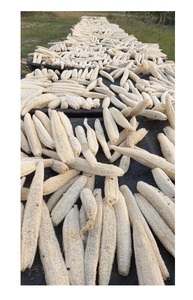 Luffa vegetal natural de alta calidad de Vietnam-Mejor precio Luffa 100% Natural barato con estándar de exportación - Product Image 5