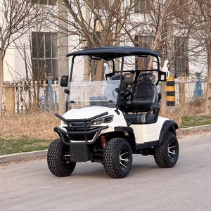 Carrito de golf de venta rápida con diseño de lujo y estructura de marco resistente - Product Image 1