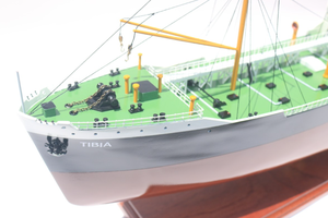 TIBIA artisanat hors-bord modèle résine bois Vietnam navire pour la décoration intérieure peint amour Style cadeaux de noël - Product Image 4