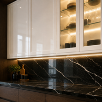 Soluciones de Gabinetes de Cocina para Apartamentos de Lujo en Alquiler, Gabinetes Shaker Personalizados para Desarrolladores, Constructores y Contratistas