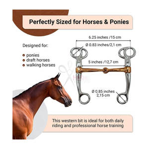 Bocado de Montura Western para Caballo, 5 Pulgadas, Cromado, de Acero Inoxidable Resistente al Óxido, Reutilizable, para Entrenamiento - HASHIR INTERNATIONAL - Product Image 2