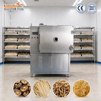Machine de lyophilisation des légumes certifiée CE en acier inoxydable 304 pour légumes, champignons et mycètes comestibles