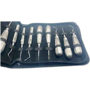 QNQ ensemble d'instruments de chirurgie dentaire manuelle de qualité supérieure ensemble complet ascenseurs de dents avec ascenseur de racine en acier inoxydable - Product Image 5