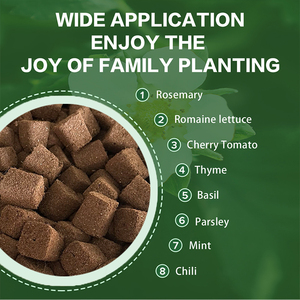 Bán buôn 50 cái Coco than bùn xơ dừa phát triển phích cắm khởi động bọt biển đất Clone cho nông nghiệp nhà kính vườn Nguồn cung cấp - Product Image 5