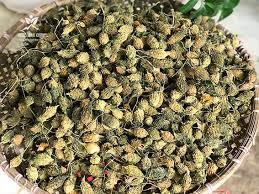 มะระแห้งทั้งลูก ผลเล็ก ชนิดมีรสขมเข้มข้นจากธรรมชาติ - Product Image 3