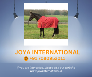 Couverture de participation de cheval légère tapis confortable de vêtements de cheval équestres extérieurs pour le soin de manteau de cheval - Product Image 2