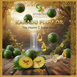 Aceite de Ciruela de Kakadu Prensado en Frío 100% Puro de Grado Cosmético para Belleza y Cuidado Personal, Asociaciones Mayoristas a Largo Plazo - Product Image 2