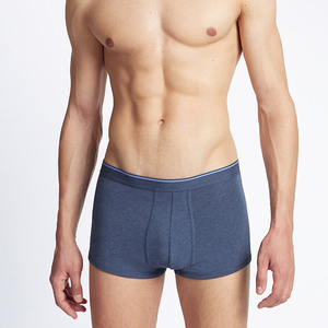 <b>Men's</b> Boxer Top Quality Custom Logo on the Waistband Big <b>Pouch</b> Show Material <b>Men</b> Boxer Briefs <b>Men</b> Underwear 2026 - Product Image 4