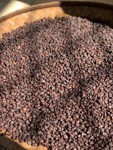 Organic Doi Seeds-Graines sauvages fraîchement récoltées du Vietnam - Product Image 4