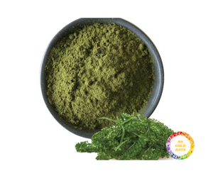 Polvo de Algas Marinas Verdes de Primera Calidad de Vietnam - Polvo de Algas Marinas Rico en Nutrientes para Suplementos Dietéticos - Product Image 4