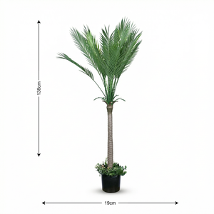 Plante artificielle Palmier du paradis à tige unique - Product Image 2