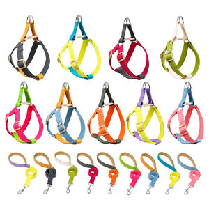 Durable All Season Nylon Pet <b>Harness</b> with Adjustable Straps Heavy Duty Comfort <b>Dog</b> Cat Safety Outdoor Walking Training Equipment - Product Image 5