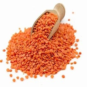 Lentilles rouges entières certifiées disponibles à la vente au prix de la ferme - Product Image 1