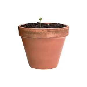 Sfera di Semi Flobba, Gadget Ecologici per Feste, Forniture Promozionali Eco-Friendly - Product Image 6