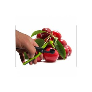 Dispositivo per vaiolatura con nocciolo di ciliegia