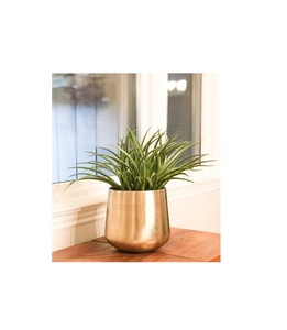 Elegante maceta dorada pulida, accesorio decorativo hecho a mano de metal para casas modernas, interiores de lujo o patios al aire libre - Product Image 3