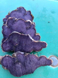 Gingembre séché entier noir Origine Vietnam Gingembre de printemps meilleure qualité Gingembre frais de haute qualité - Product Image 5