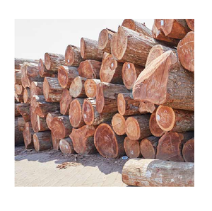 Troncos de madera de álamo duraderos en venta a bajo precio, procedentes de fuentes para uso industrial y comercial de madera. - Product Image 6