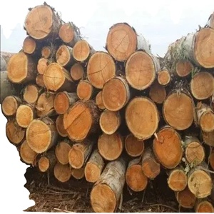 Blocs de bois de balsa écologiques résistants à l'eau de haute qualité, design contemporain à jointures collées, pour usage hôtelier, 5 ans et plus - Product Image 1