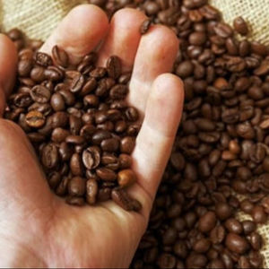 Café moulu torréfié biologique Robusta du Vietnam, qualité AA+, 100% grains de café naturels, certifié ISO 22000, TNFOOD, directement de l'usine, en vrac - Product Image 3