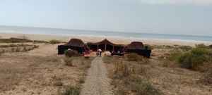 Tentes en poils de chèvre du Sahara, abris nomades traditionnels du désert, adaptés au climat, à la culture et à la vie durable en Afrique du Nord - Product Image 3