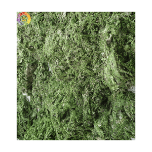 Dried Sargassum <b>Seaweed</b> Fine Powder, Natural Bio-Stimulant Fertilizer and Natural Animal Feed Bulk With Best Price From Vietnam - Product Image 5