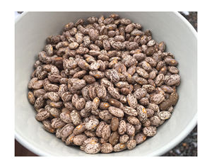 Haricots Pinto Naturels Premium-Haute Qualité, Meilleur Prix Directement Des Producteurs À Prix Pas Cher Meilleur Cool - Product Image 5