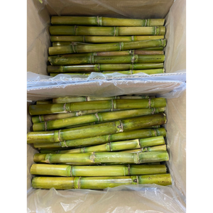 Bâtons de canne à sucre congelés de haute qualité du Vietnam disponibles pour la vente en gros avec une douceur naturelle et un goût frais - Product Image 5