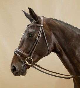 Brida de caballo de cuero de edición limitada Estilos ingleses occidentales personalizados Brida de equitación de cuero genuino Tendencias de proveedores al por mayor - Product Image 1