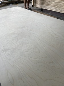 Madera contrachapada de abedul de 4,6-24mm de espesor con certificado de estilo moderno, núcleo de eucalipto, tamaño de 1250x2500mm, cumple con los estándares de exportación E0 para EE. UU. - Product Image 4