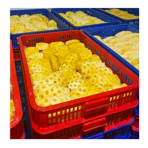 Morceaux d'ananas congelés IQF pelés en tranches d'ananas congelés du Vietnam emballés pour l'exportation vers les fabricants de produits alimentaires du monde entier - Product Image 6