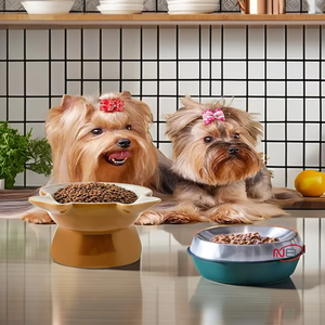 Tazón de plástico para mascotas con forma de perro, respetuoso con el medio ambiente, fabricante OEM, para uso en interiores pequeños, precios al por mayor para gatos - Product Image 1