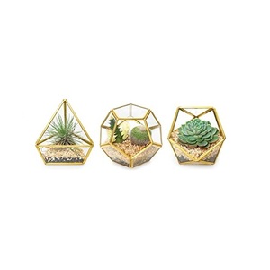 Excellent Quality <b>Glass</b> <b>Terrarium</b> for Best Selling For Living Room or Dining Room Decoration Item <b>Glass</b> <b>Terrarium</b> Usage Item - Product Image 3