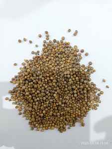 CORRIANDER Productos agrícolas - Product Image 2