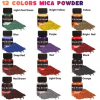 Poudre de mica nacrée 12 couleurs pour pierre aromatique en gypse, pigment pour artisanat DIY, expédition rapide depuis l'entrepôt local aux États-Unis