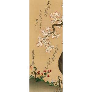 Impresión artística de naturaleza muerta con flores de cerezo, diseño de Ogata Kenzan en papel - Product Image 1