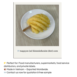 Ananas surgelé LQF en vrac, qualité standard, ananas surgelé rapidement, marque KME, 10 kg, stockage à -18°C - Product Image 5