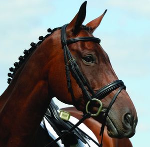 Bridon de cheval SidePull en cuir véritable de haute qualité, conçu sur mesure, avec logo brodé noir, vente en gros auprès des fabricants - Product Image 3