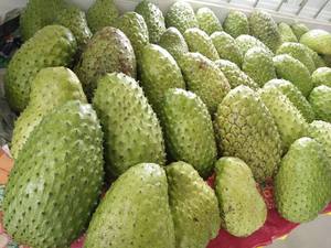 Guanábana seca estándar de exportación desde Vietnam, snack de fruta saludable de calidad superior con precios competitivos para pedidos a granel - Product Image 4