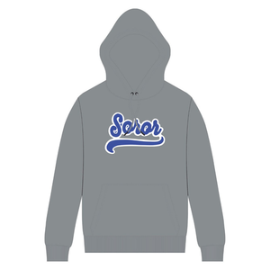 Sweat à capuche gris acier Zeta Phi Beta Soror, inspiré des fondateurs de 1920, sororité grecque, femme d'honneur, coton premium - Product Image 1