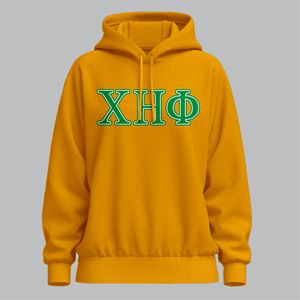 Chi Eta Phi Streetwear pull sororité à capuche personnaliser personnalisé fraternité anti-boulochage respirant sweats à capuche pour femme - Product Image 6