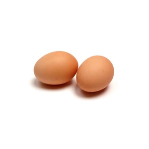 High Standard Best Quality Chicken Egg From Brazil Fresh and Natural Egg Wholesale Price <b>Animal</b> <b>Products</b> Eggs - Product Image 6