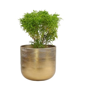 Macetero de Metal de Lujo con Diseño Moderno, Chapado en Oro, Personalizable, con Opción de Colgar, para Uso en Interiores/Exteriores - Product Image 6