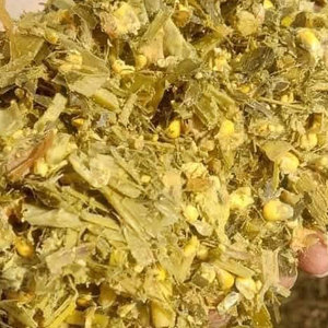 อาหารสัตว์เพื่อสุขภาพ ข้าวโพดหมักคุณภาพสูง อาหารสัตว์สีเขียว ข้าวโพดหมักสำหรับสัตว์นม สั่งซื้อข้าวโพดหมักจำนวนมาก - Product Image 3