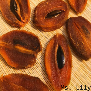 <b>Bulk</b> Dried Sapodilla Slices| Naturally <b>Sweet</b> Fruit for Snacks, Tea, and Food Processing| Ms. Lily - Product Image 3