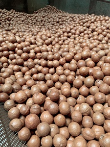 Noix de macadamia grillées décortiquées avec coquille et noyau Collations exotiques Vente en gros Noix de macadamia Produit Genre/ ANNA DO VILACONIC - Product Image 2