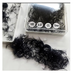 Extensiones de Pestañas de Volumen Completo Hechas a Mano con Pelo Sintético 10D de Entrega Rápida para Uso en Salones de Belleza, Bandeja para Maquillaje Diario Sexy - Product Image 1